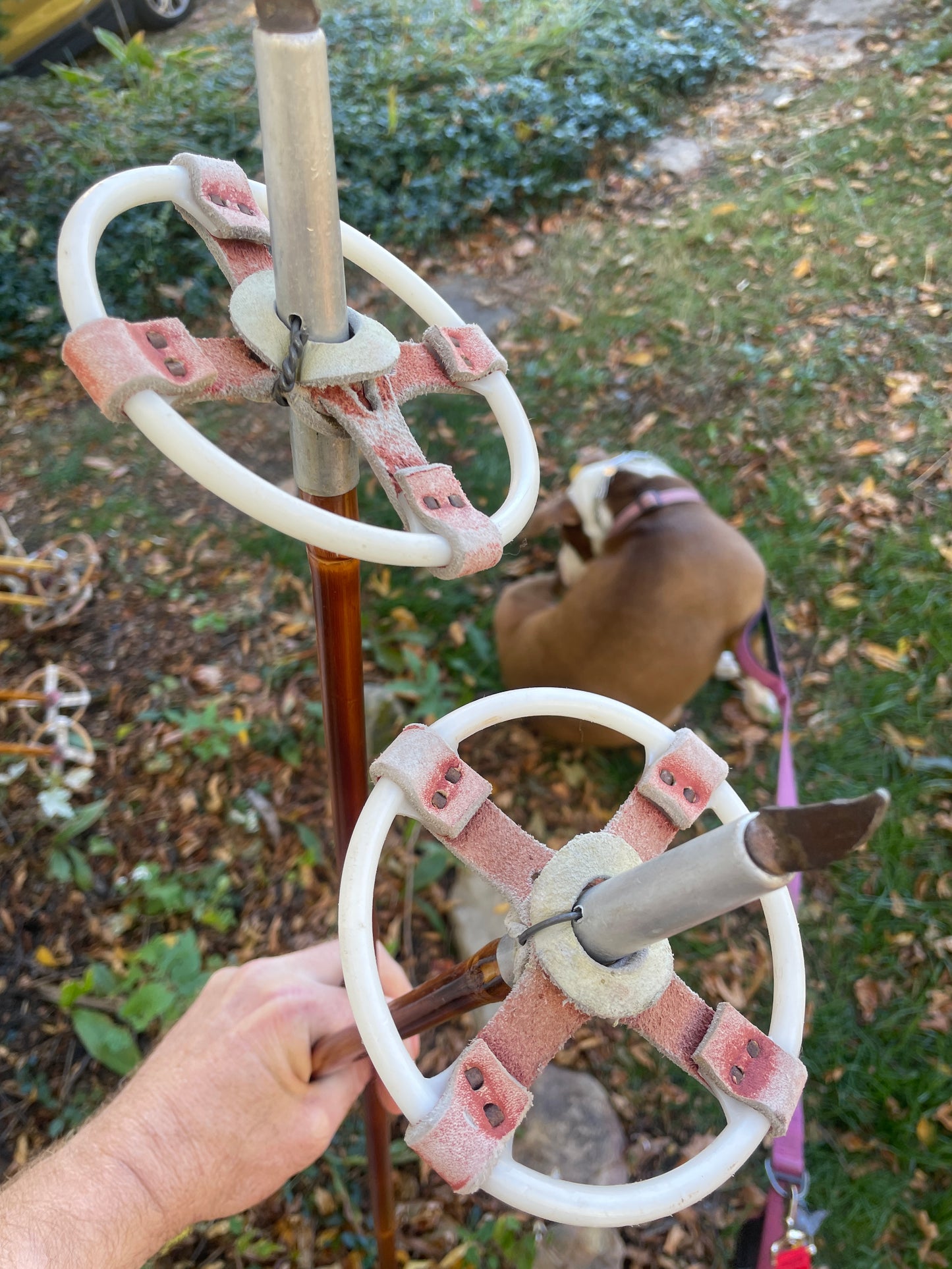 145cm Järvinen "Erikoiskilpa" Bamboo Cross-Country Ski Poles - 1960s - BEAUTIFUL!!