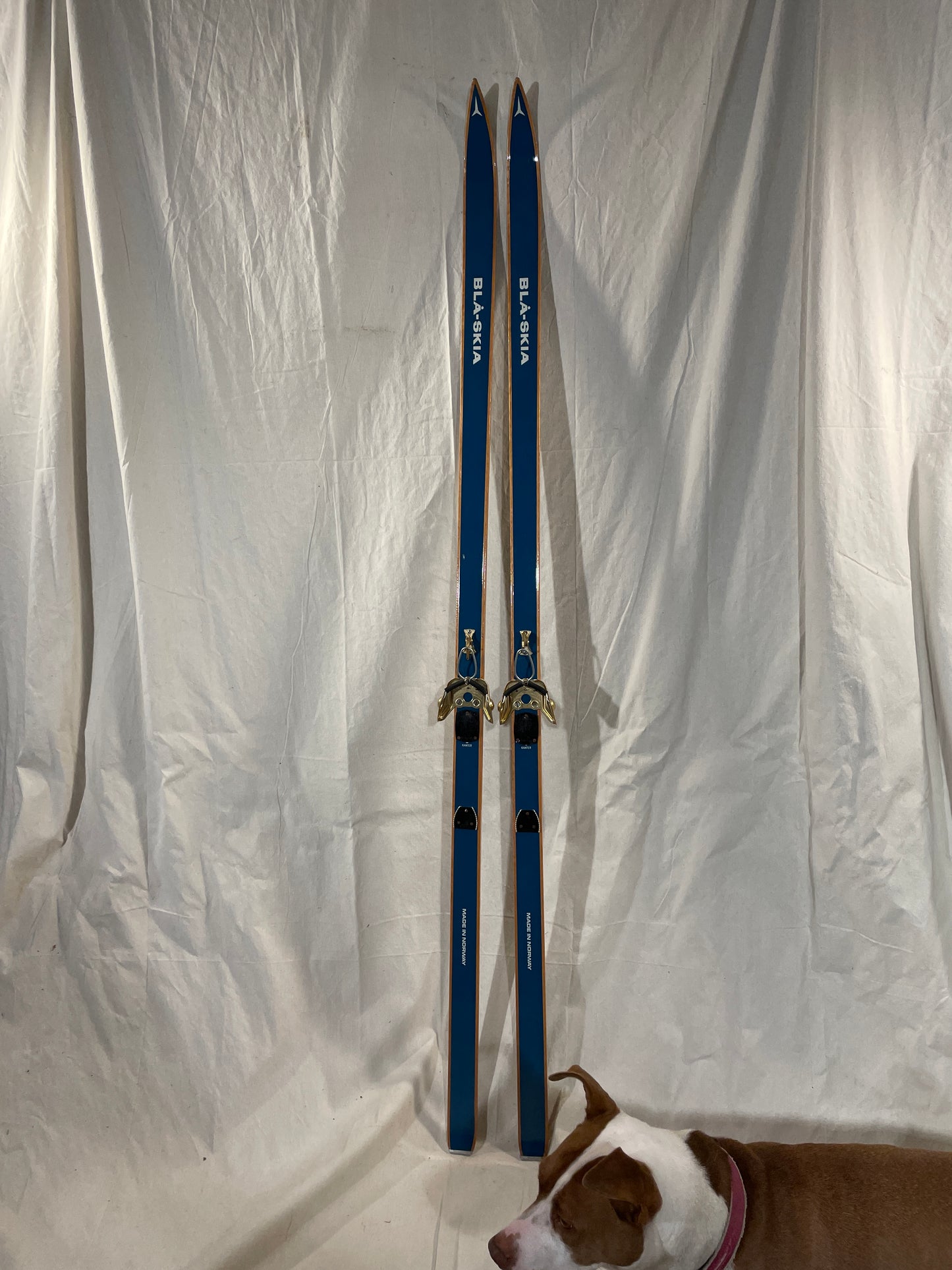 195cm Blå-Skia Wood "Tur-Langrenn" Light Touring Cross-Country Skis - Early 70s - TIMEPIECE!!!!