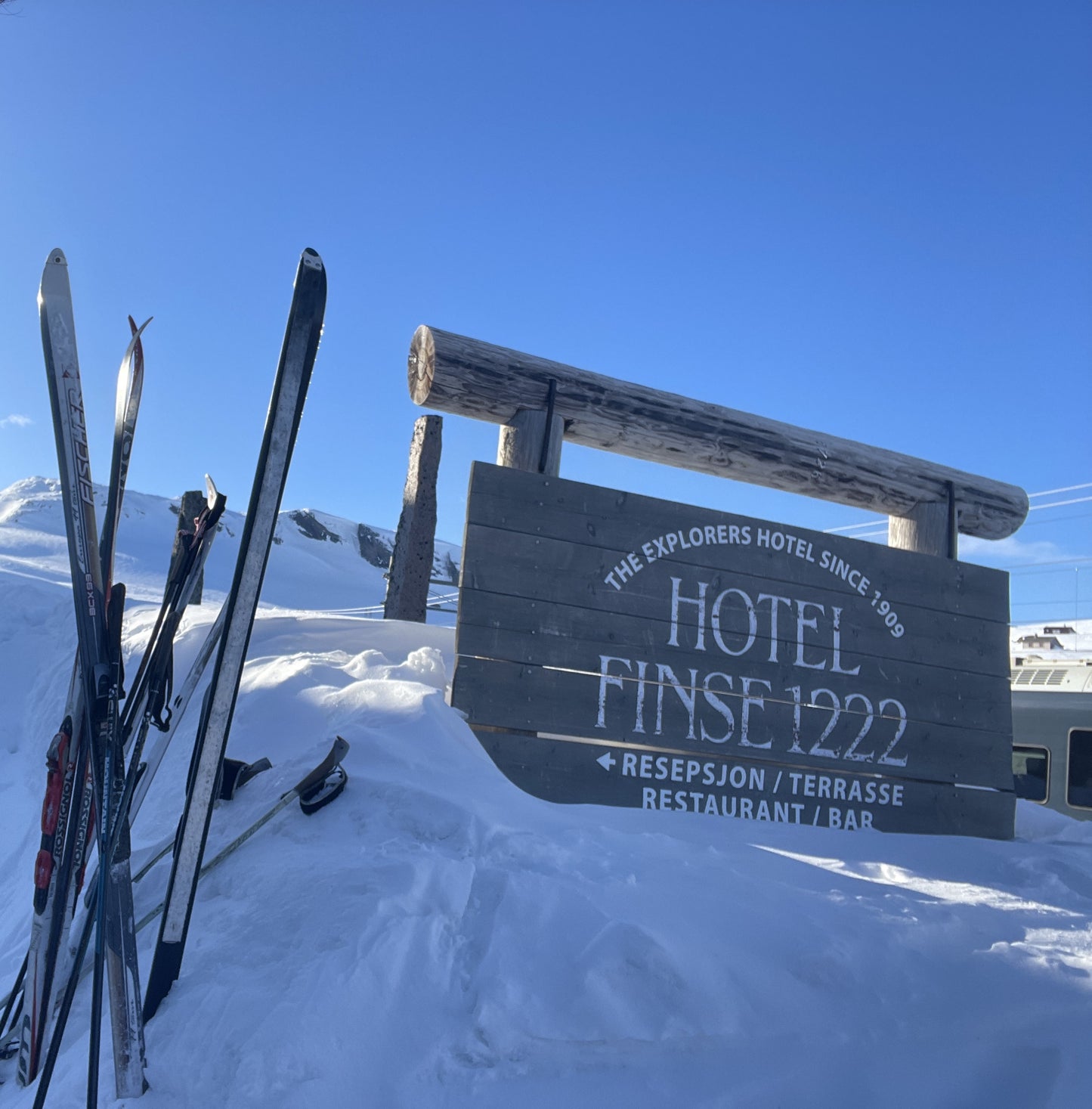 215cm Gresshoppa "Finse" Wood Cross-Country Skis - BEAUTIFUL condition - mid 1960s