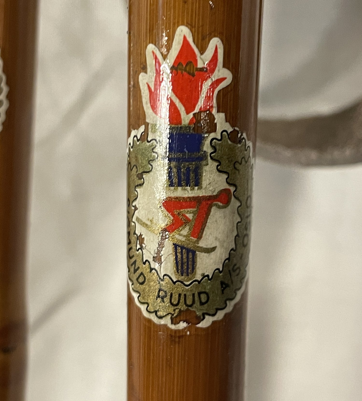 Sigmund Ruud (Nor) poles