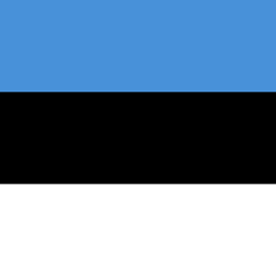 Skis from Estonia