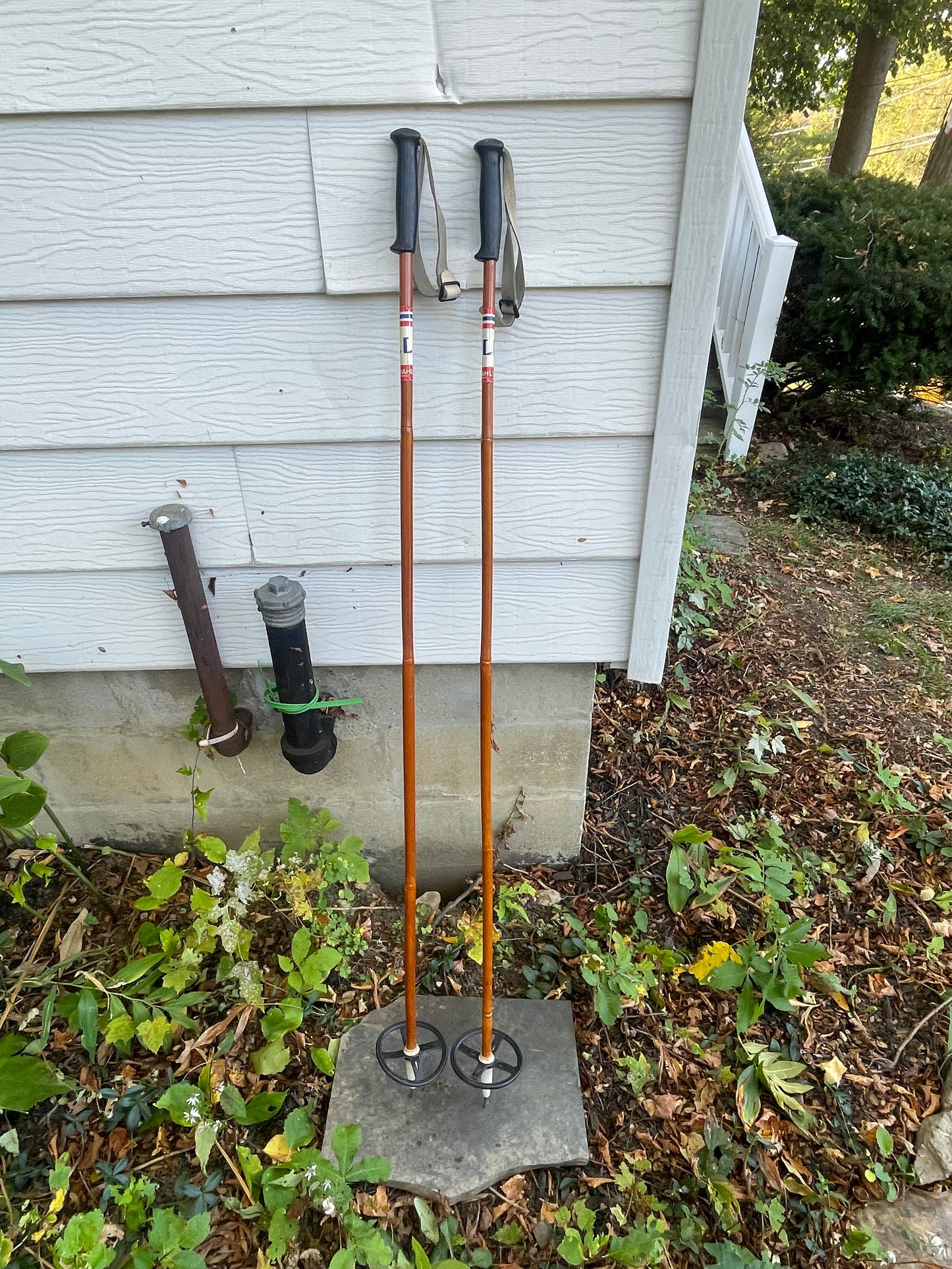 135cm Liljedahl Bamboo Cross-Country Ski Poles - 1970s - Nice and Shiny!!