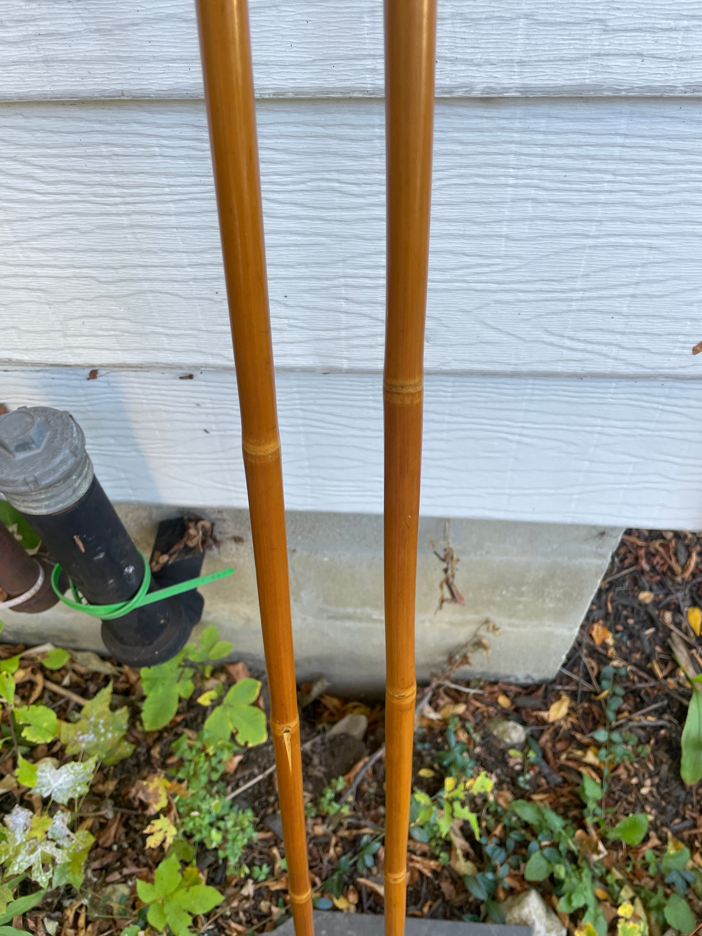140cm Liljedahl Bamboo Cross-Country Ski Poles - 1960s - Leather/Wicker Ring Baskets!!!