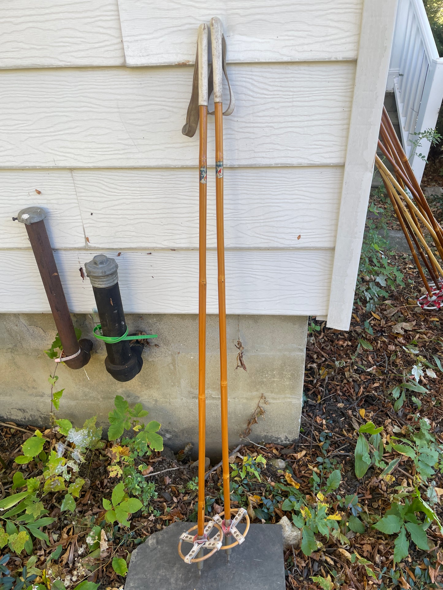 125cm Liljedahl Bamboo Cross-Country Ski Poles - Late 1950s - Original Logo and Graphics!