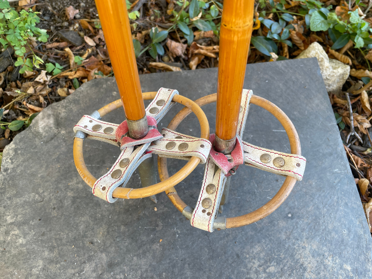 125cm Liljedahl Bamboo Cross-Country Ski Poles - Late 1950s - Original Logo and Graphics!