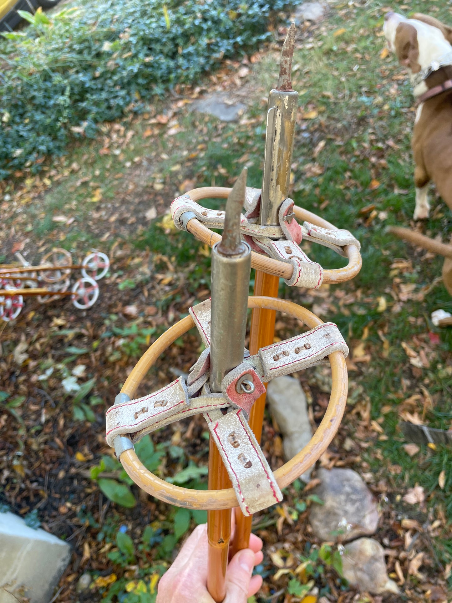 125cm Liljedahl Bamboo Cross-Country Ski Poles - Late 1950s - Original Logo and Graphics!