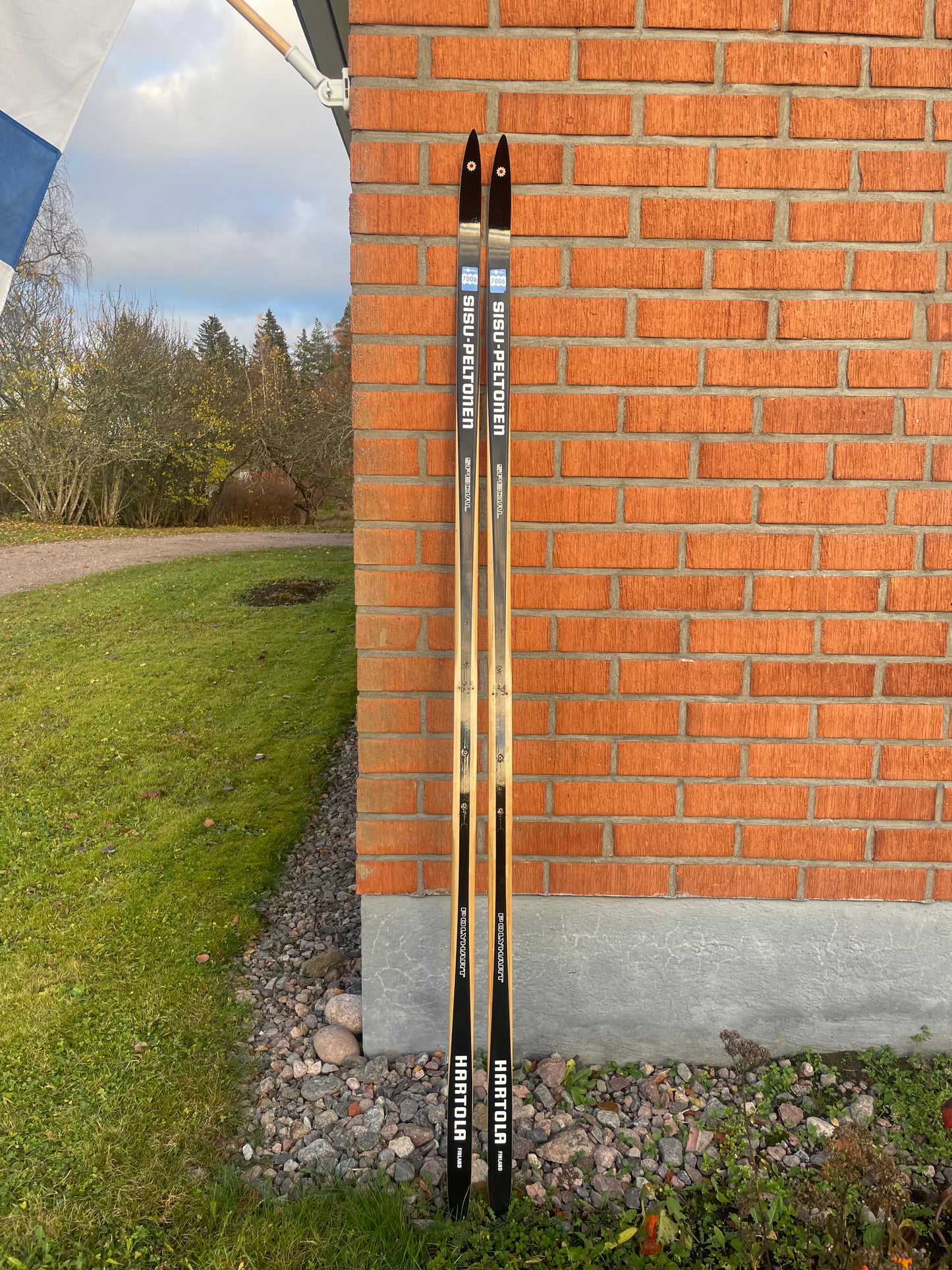 210cm Peltonen Special Racing "Polyhart" Wood Cross-Country Skis - Sisu to the Max!!!