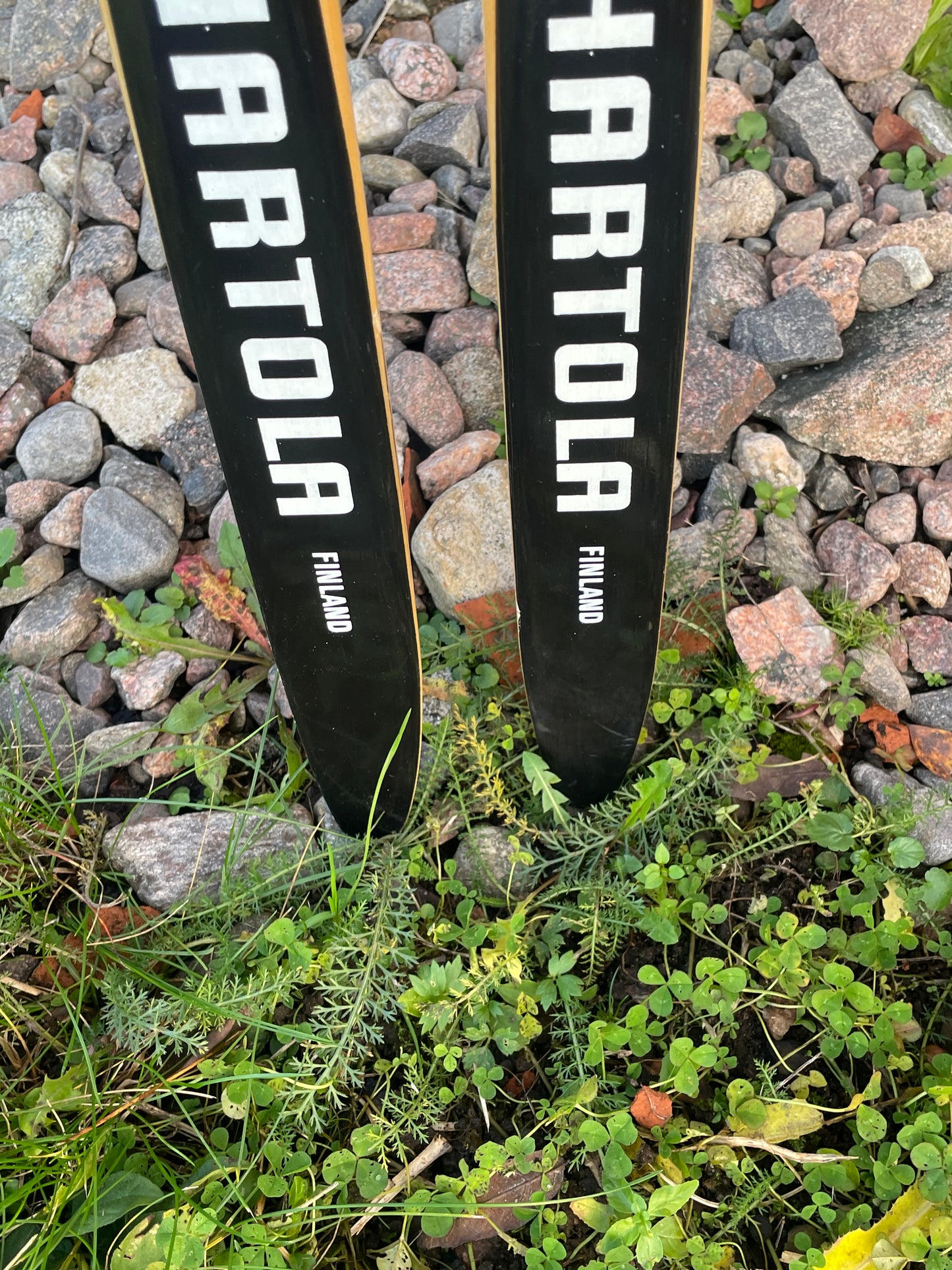 210cm Peltonen Special Racing "Polyhart" Wood Cross-Country Skis - Sisu to the Max!!!