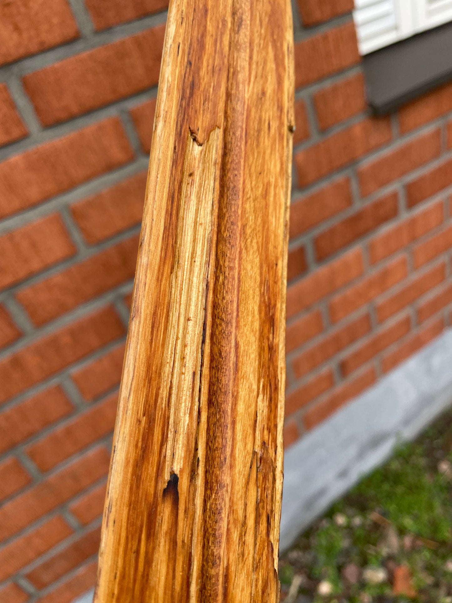 BARGAIN BIN!!! - 205cm Peltonen "Erikoiskilpa" Cross-Country Racing Skis - 1960s - RareRareRare!!!