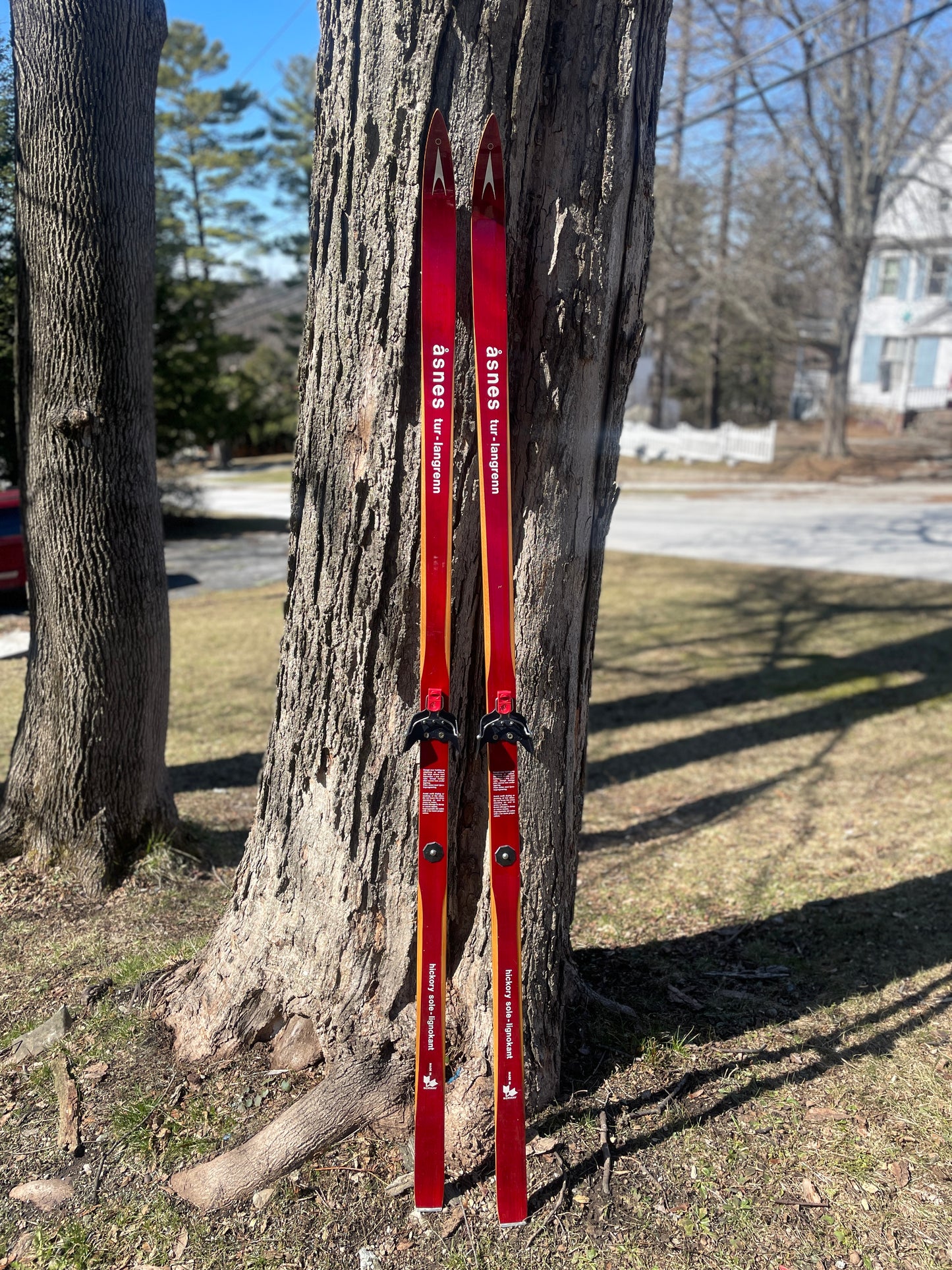 190cm Åsnes of Norway "Tur-Langrenn" 1970s Cross-Country Touring Skis - Just Bought in Norway!!!