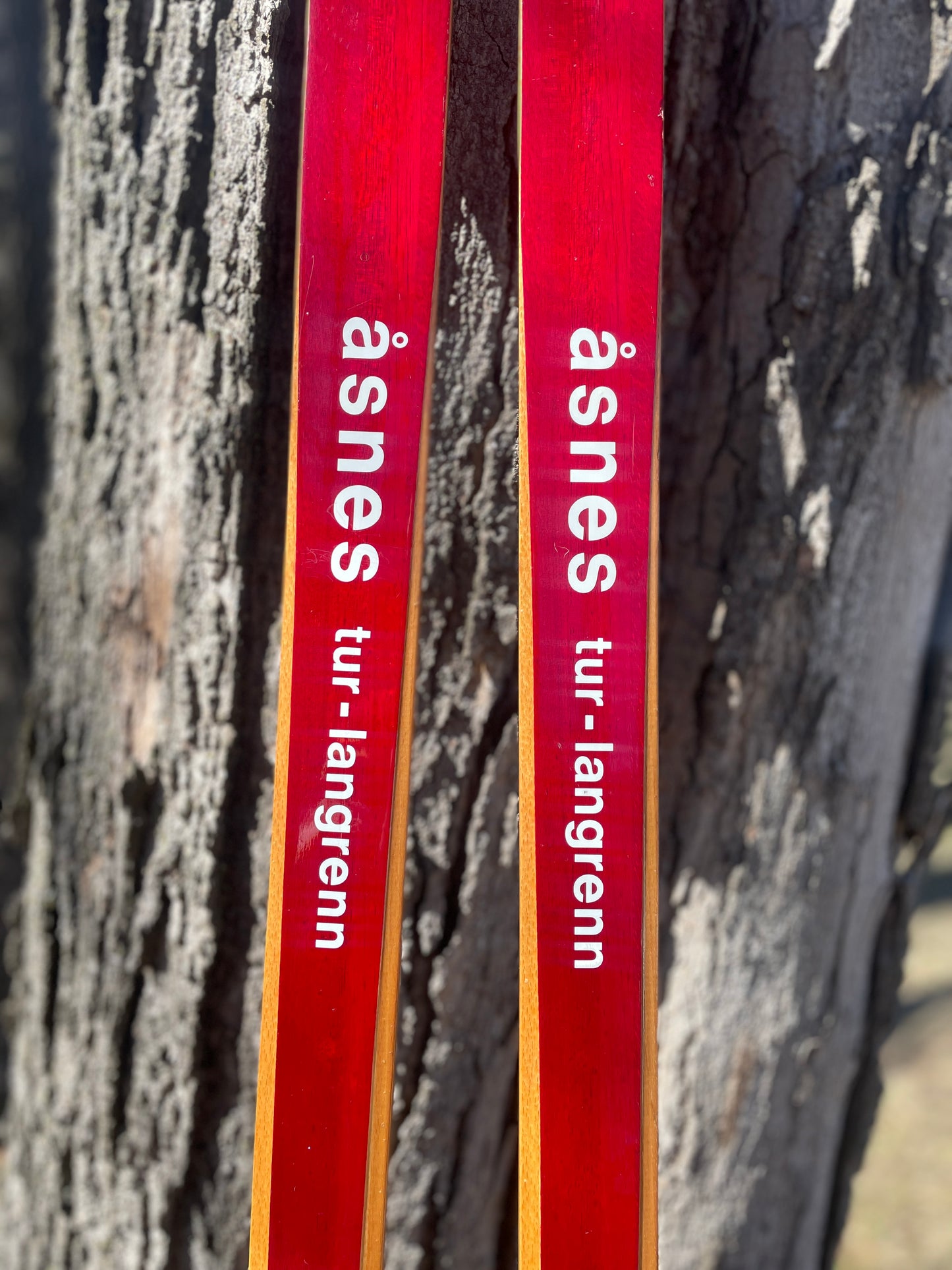 190cm Åsnes of Norway "Tur-Langrenn" 1970s Cross-Country Touring Skis - Just Bought in Norway!!!