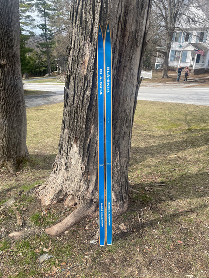 170cm Blå-Skia Wood Light Touring Cross-Country Skis - 1970s - Last Gasp for Wood!!!!
