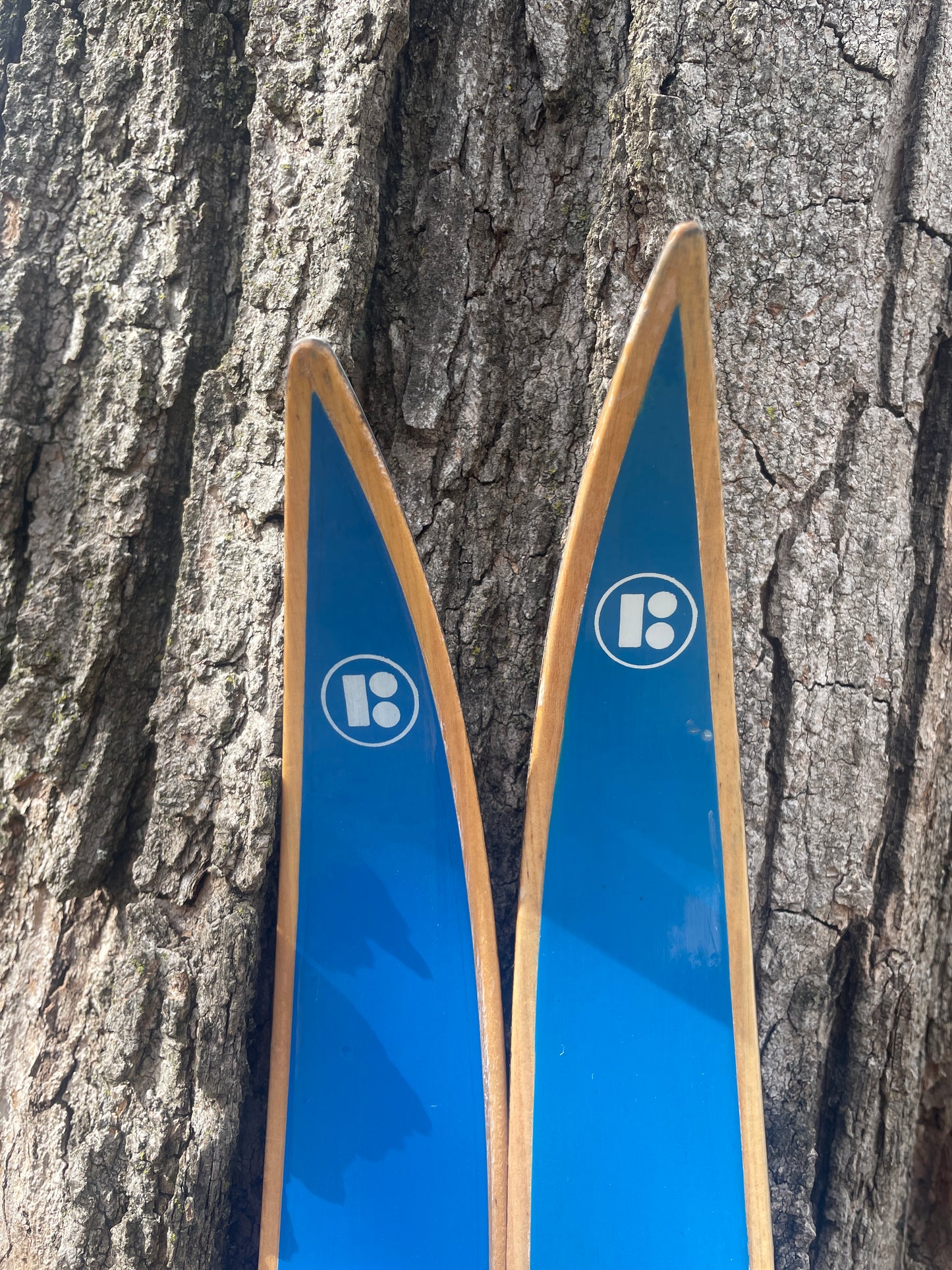 170cm Blå-Skia Wood Light Touring Cross-Country Skis - 1970s - Last Gasp for Wood!!!!