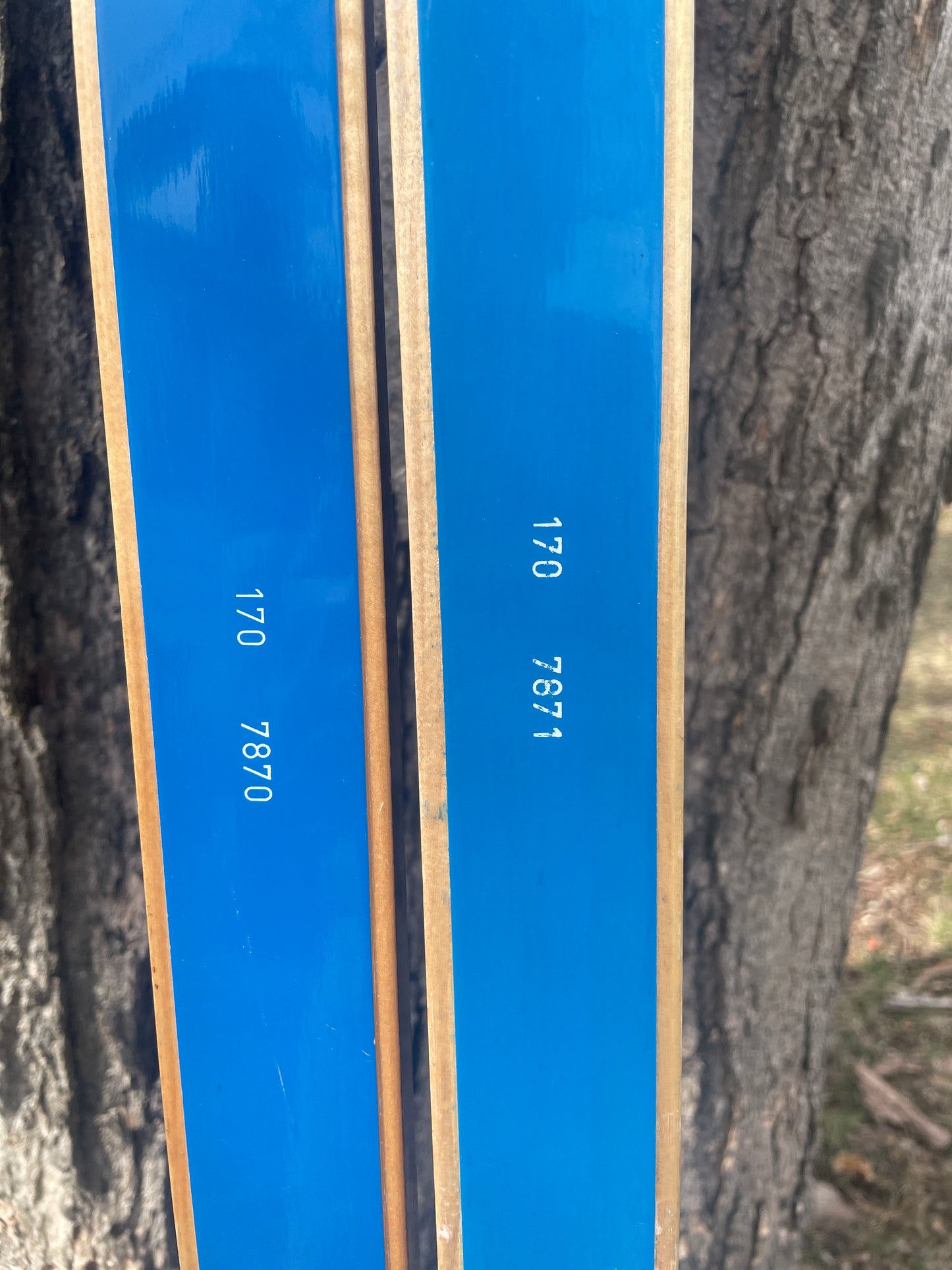 170cm Blå-Skia Wood Light Touring Cross-Country Skis - 1970s - Last Gasp for Wood!!!!