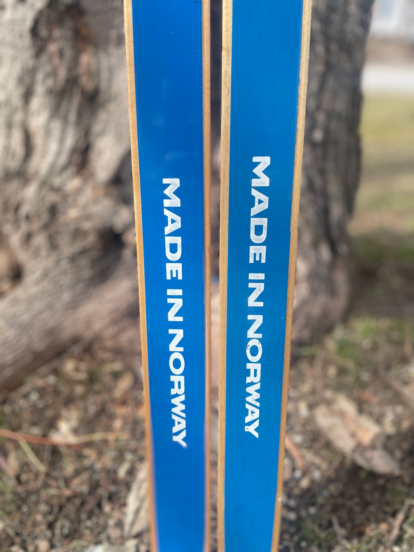 170cm Blå-Skia Wood Light Touring Cross-Country Skis - 1970s - Last Gasp for Wood!!!!