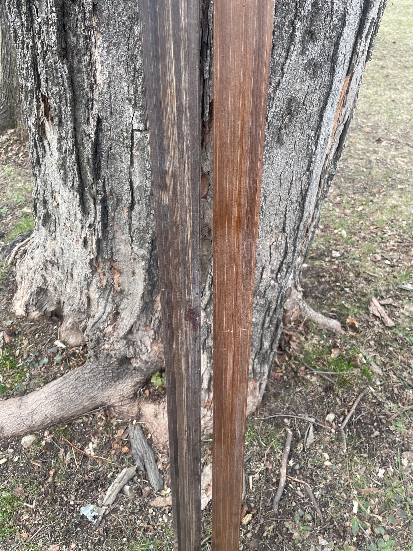 170cm Blå-Skia Wood Light Touring Cross-Country Skis - 1970s - Last Gasp for Wood!!!!