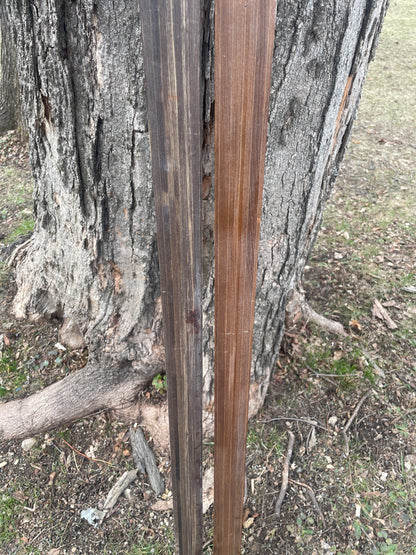 170cm Blå-Skia Wood Light Touring Cross-Country Skis - 1970s - Last Gasp for Wood!!!!