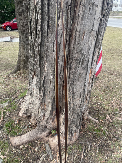 170cm Blå-Skia Wood Light Touring Cross-Country Skis - 1970s - Last Gasp for Wood!!!!