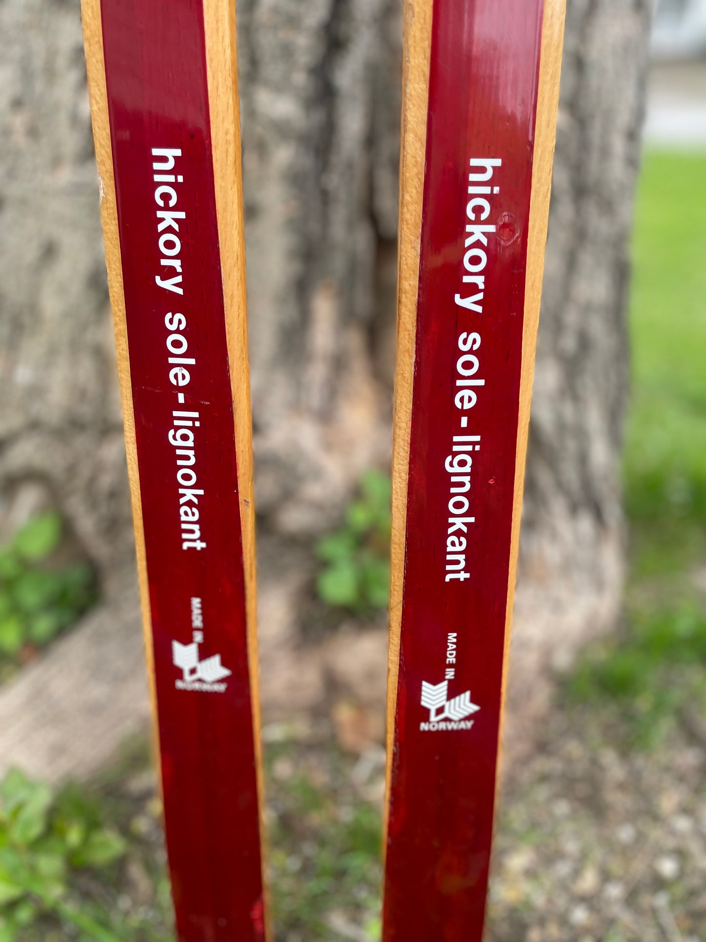 205cm Åsnes of Norway "Tur-Langrenn" 1970s Cross-Country Touring Skis - Lovely Red Color!!!