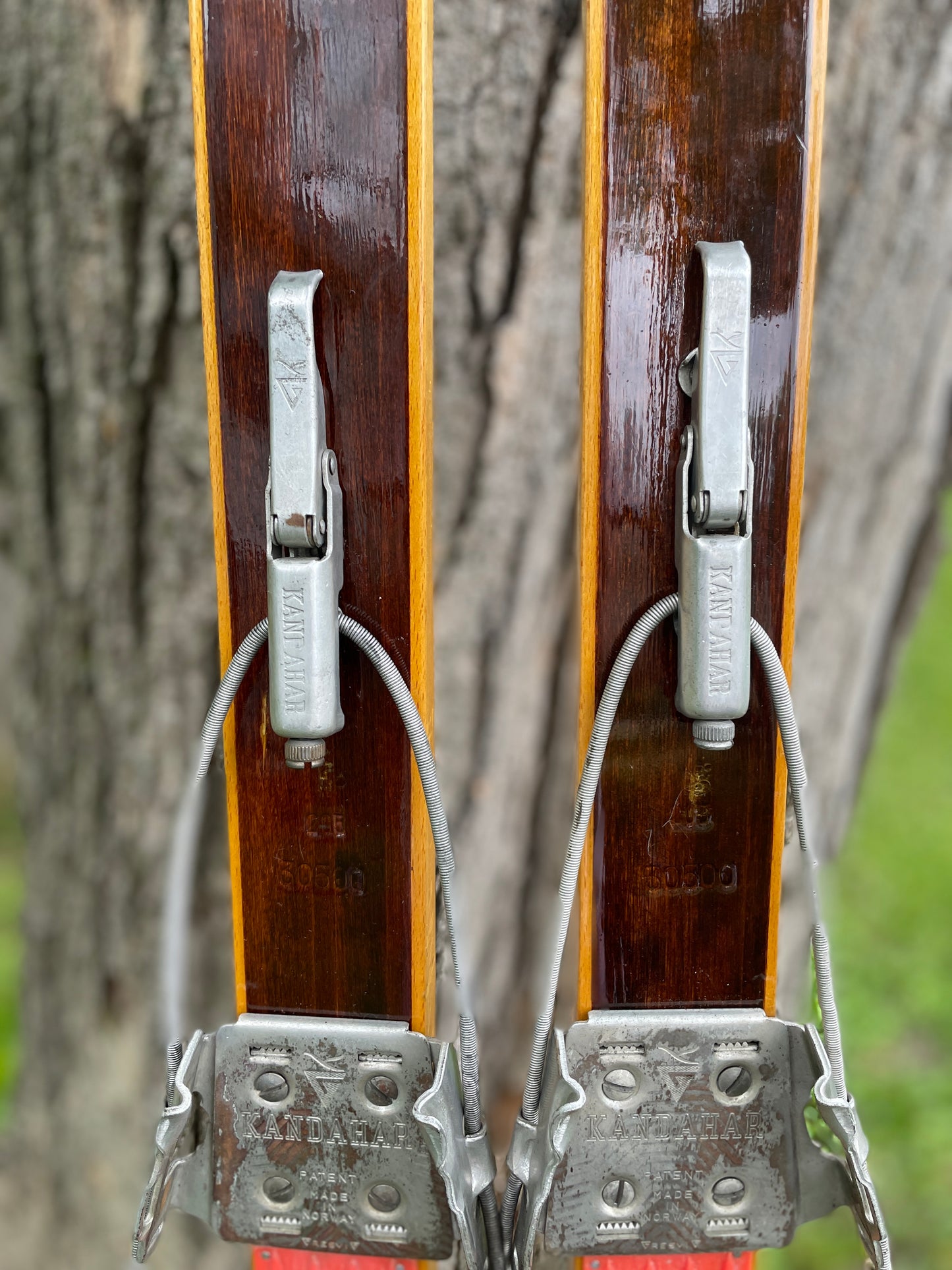 205cm "Populær" Tur-Langrenn Wood Cross-Country Skis - 1960s - BEAUTIFUL!!!