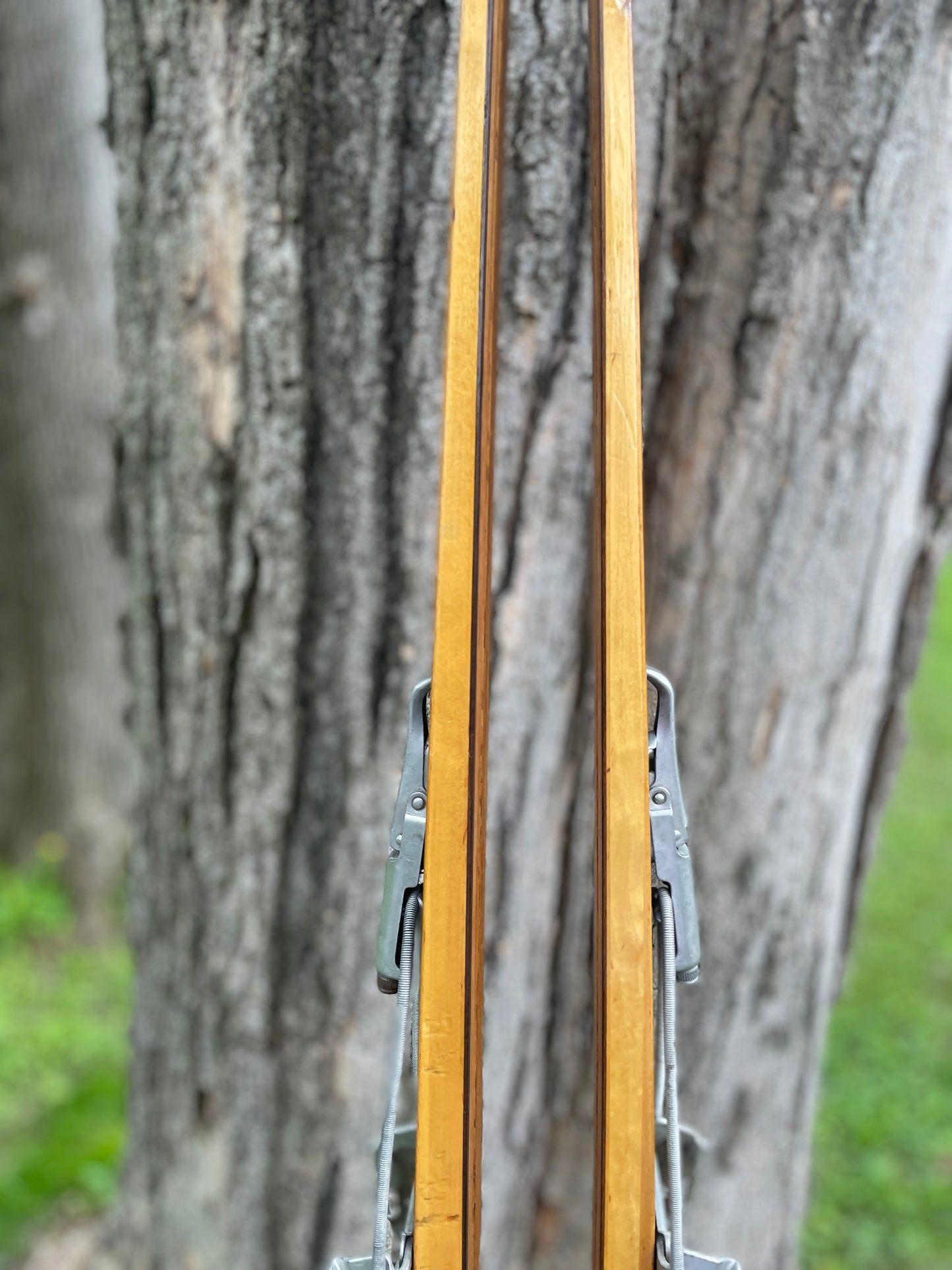 205cm "Populær" Tur-Langrenn Wood Cross-Country Skis - 1960s - BEAUTIFUL!!!
