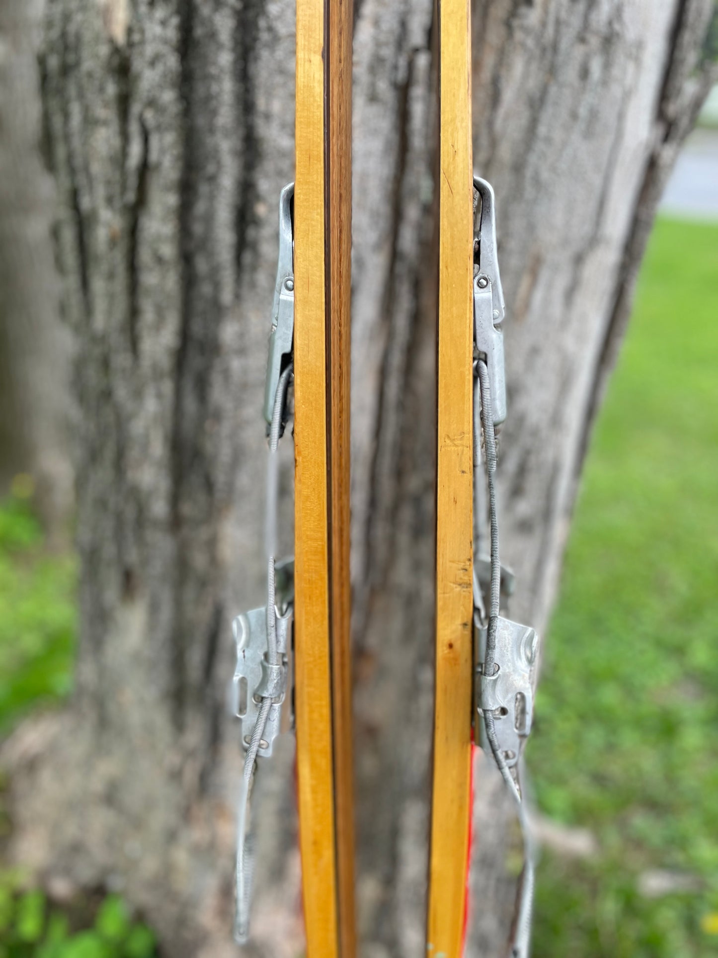 205cm "Populær" Tur-Langrenn Wood Cross-Country Skis - 1960s - BEAUTIFUL!!!
