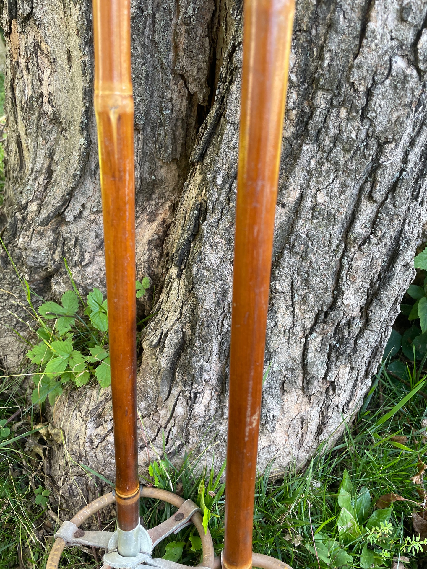 132.5cm "Korpela" Bamboo Cross-Country Ski Poles - Original Patina!