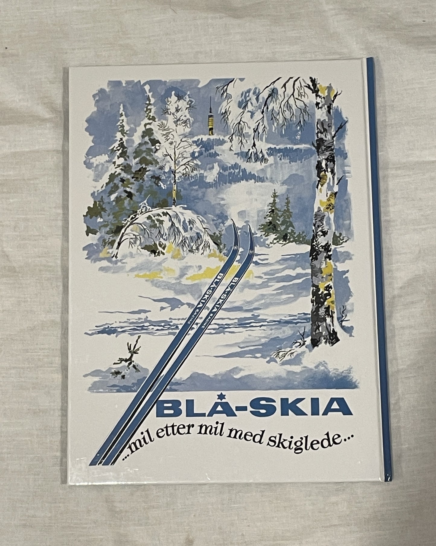Fra Ullevoldsæter til Blå-Skia - The Incredible Story of Blå-Skia Skis!!!!